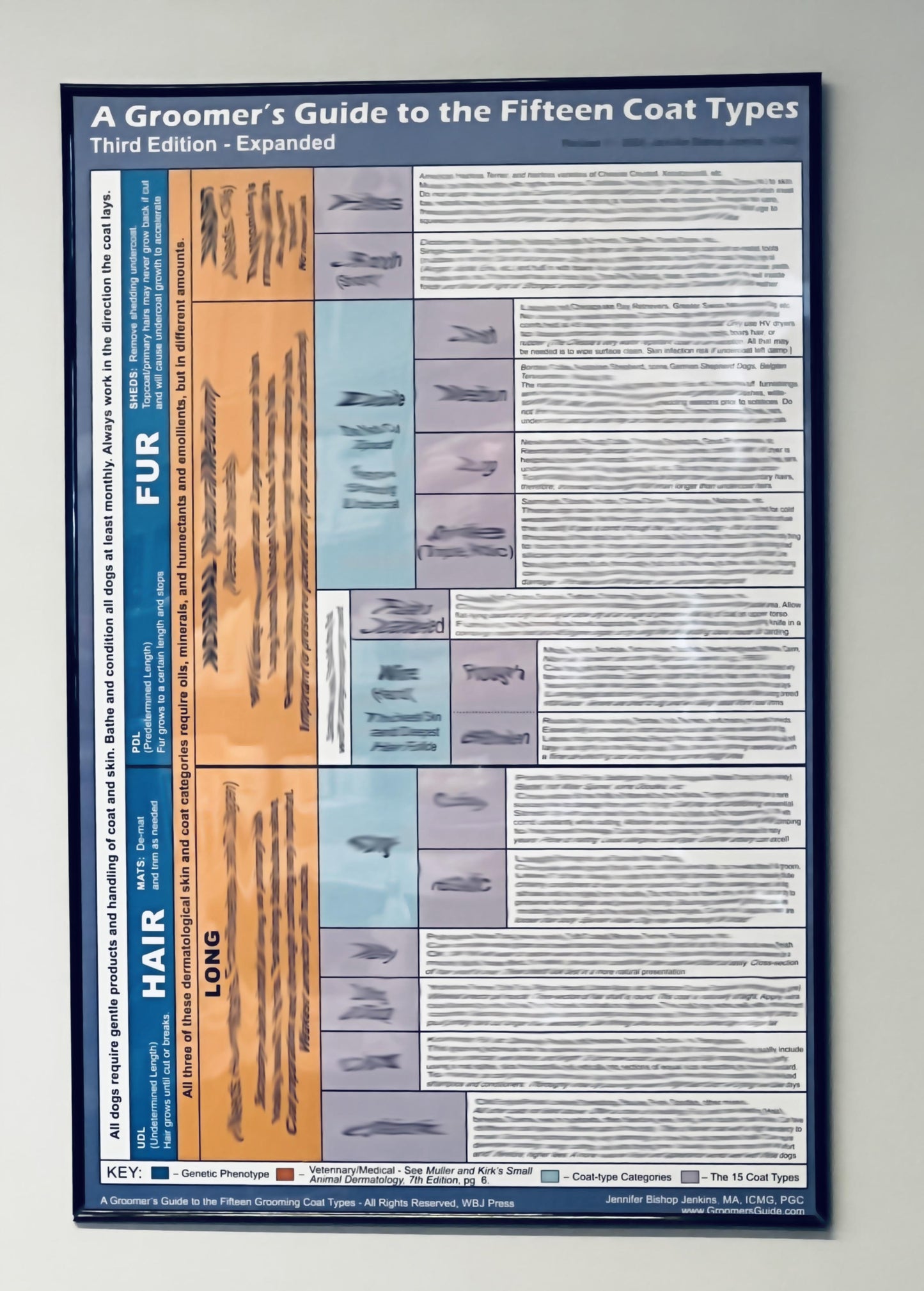 The Groomer’s Guide 15 Coat Type updated third edition, 24" x 36" large poster framed, is a perfect reference for the professional pet groomer.&nbsp; This reference is the condensed highlighted information for the PGC recognized preparatory course “15 Coat Types ” Seminar and soon to be expanded Book researched and written by Jennifer Bischop-Jenkins, ICM.&nbsp; This product is sold in our showroom or delivered locally. We do not ship this product. However, it will be available at all trade shows we attend.